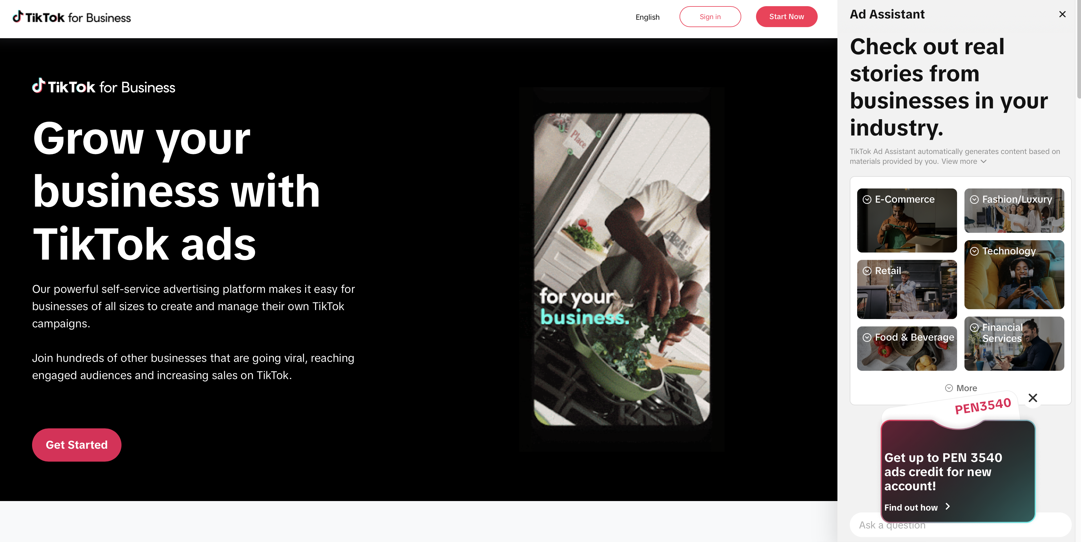 Anuncios de TikTok ads
